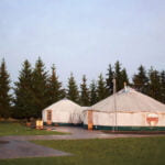 Avinukų ekspozicija Milišiūnų avių ūkyje