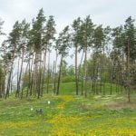 Pivašiūnų piliakalnis