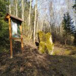 Antakmenės aukų akmuo. Nuotrauka: ©ignalina.info