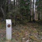 Ažušilės pilkapynas. Nuotrauka: ©ignalina.info