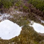 Mergelių akys. Nuotrauka: ©atraskdzukija.lt