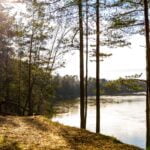 Poilsio parkas. Nuotrauka: ©atraskdzukija.lt