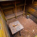 Partizanų kovos ir žūties vieta. Nuotrauka: ©atraskdzukija.lt