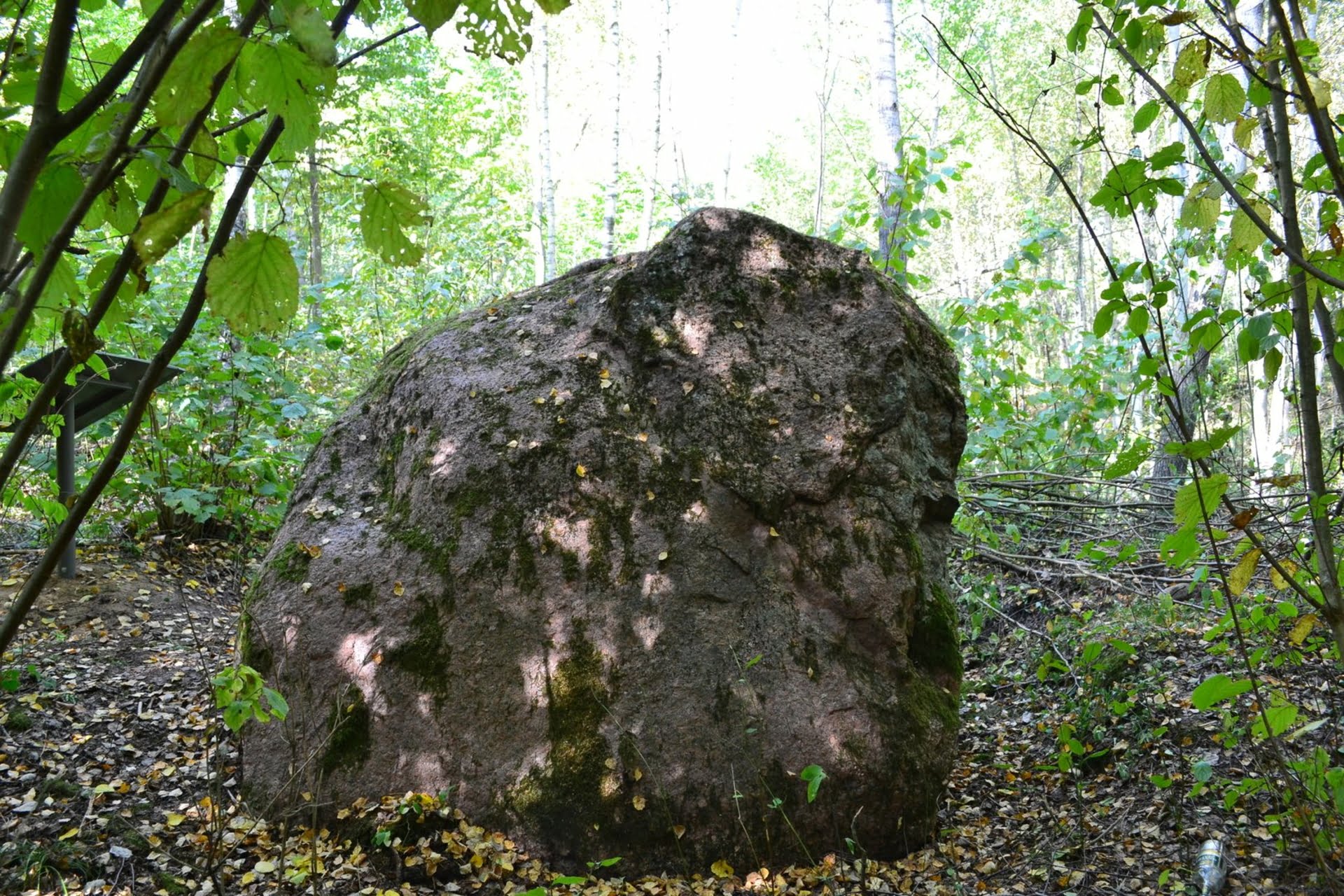 Raudonasis Akmuo Istorijos Lobynas