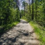 Senasis Vytauto kelias į Gardiną. Nuotrauka: ©atraskdzukija.lt