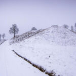 Akmenos kraštovaizdžio draustinis. Nuotrauka: ©saugoma.lt