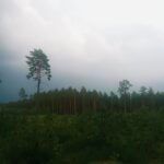 Kaskalnio geomorfologinis draustinis. Nuotrauka: ©jurbarkas.info