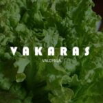 Valgykla "Vakaras". Nuotrauka: visitjoniskis.lt