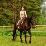 Laisvalaikio ir jojimo paslaugų centras ,,Viliumai". Nuotrauka: ©jonavatic.lt