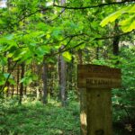 Dagilionių pilkapynai. Nuotrauka: ©jonavatic.lt