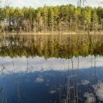 Takas palei Mekšrinio ežerą. Nuotrauka: ©ignalina.info