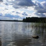 Ilgio ežero pakrantė. Nuotrauka: ©ignalina.info