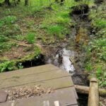 Almajo (Pliaušės) šaltinis. Nuotrauka: ©ignalina.info