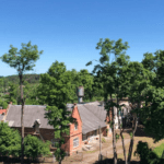 ŽAGARĖS STOVYKLAVIETĖ. Nuotrauka: visitjoniskis.lt