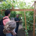 Vynuogynas „Gardžios vynuogės“. Nuotrauka: visitjoniskis.lt