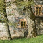 Liubavo dvaro malūnas – muziejus. Nuotrauka: ©govilnius.lt