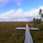 Plynosios aukštapelkėje. Nuotrauka: ©welovelithuania.com