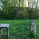 Biržų Lauko piliakalnis. Nuotrauka: ©lt.wikipedia.org