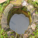 Rangavos sakraliniai šaltiniai