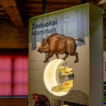 Panemunių regioninio parko lankytojų centras. Nuotrauka: ©nemunokelias.lt