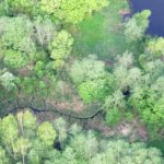 Anykščių šilelio kraštovaizdžio draustinis. Nuotrauka: ©welovelithuania.com