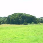 Biržų Lauko piliakalnis. Nuotrauka: ©lt.wikipedia.org