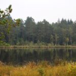 Pakalnių telmologinis draustinis. Nuotrauka: ©anyksciuparkas.lt