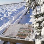 Plynosios aukštapelkėje. Nuotrauka: ©welovelithuania.com