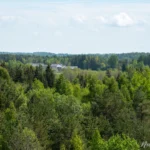 Jogaudų apžvalgos bokštas