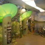 Žemaitijos žemės slėpiniai