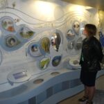 Žemaitijos žemės slėpiniai