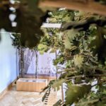 Pavilnių ir Verkių regioninio parko lankytojų centras. Nuotrauka: ©pavilniai-verkiai.lt