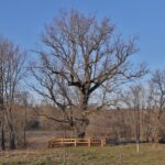 Ukmergės turizmo ir verslo informacijos centras. Nuotrauka: ©ukmergeinfo.lt