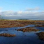 Kamanų valstybinio gamtinio rezervato lankytojų centras. Nuotraukos: ©prieezero.lt