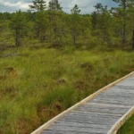 Kamanų valstybinio gamtinio rezervato lankytojų centras. Nuotraukos: ©prieezero.lt
