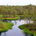 Kamanų valstybinio gamtinio rezervato lankytojų centras. Nuotraukos: ©prieezero.lt