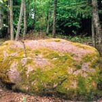 Mėžionių akmuo su ženklais