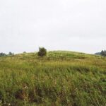 Nevieriškės piliakalnis