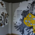 Salantų regioninio parko lankytojų centras. Nuotrauka: ©trip.lt