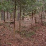 Baluošos piliakalnis