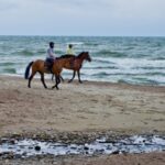 Pajūrio regioninio parko lankytojų centras. Nuotrauka: ©klaipedosrajonas.lt