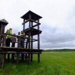 Žemaitiškės pievų paukščių stebėjimo bokštelis