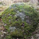 Akmuo su „Dievo pėda”