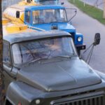 Pienovežių ekspozicija