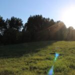 Dauliūnų piliakalnis