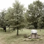 Nepriklausomybės akto signataro Prano Dovydaičio gimtosios sodybos vieta (Dovydaitynė)