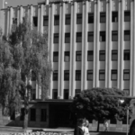 Kauno miesto savivaldybė