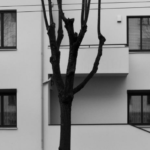 Buvęs rangovo Miko Grodzenskio namas