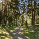 Šaltinių takas Kačerginėje