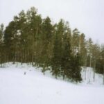 Lukštų piliakalnis